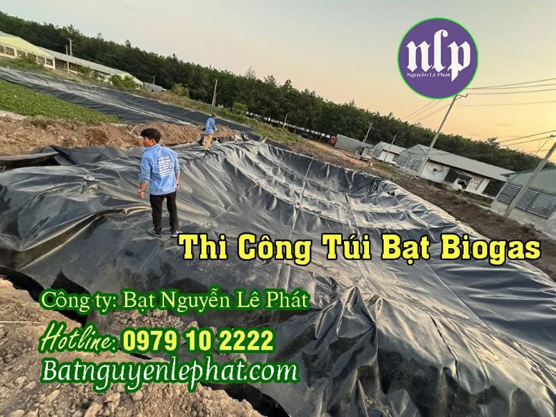 hầm biogas xử lý nước thải chăn nuôi heo quy mô nhỏ, thu khí gas, thân thiện môi trường